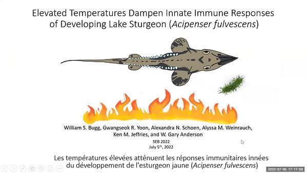 Elevated temperatures dampen innate immune responses of developing lake sturgeon (Acipenser fulvescens) when challenged with bacterial lipopolysaccharides
