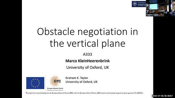 Obstacle negotiation in the vertical plane