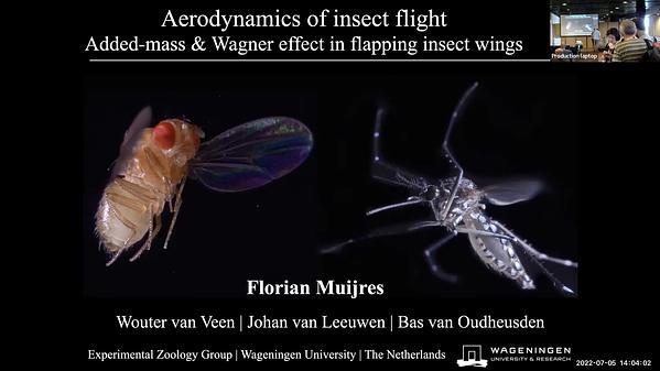 Added-mass and Wagner-effect-based forces in high-frequency flapping insect wings