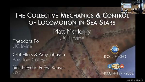 The collective mechanics and control of locomotion in sea stars
