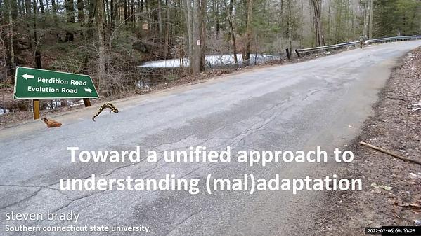 Toward a unified approach to understanding (mal)adaptation