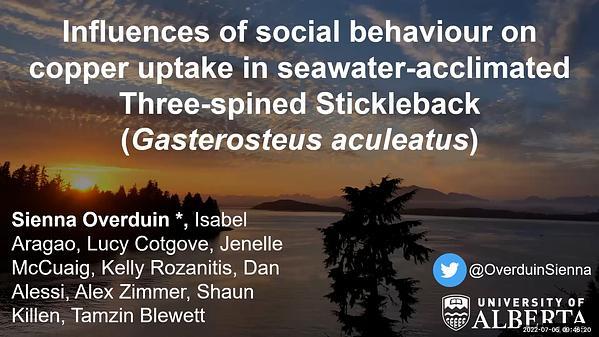 Influences of Anthropogenic Stress on the Sociality of Three-Spined Stickleback (Gasterosteus Aculeatus)