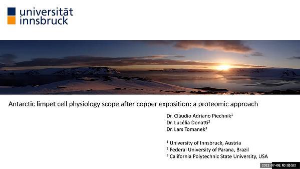 Antarctic limpet cell physiology scope after copper exposition: a proteomic approach