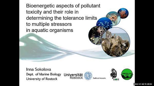 Bioenergetic aspects of pollutant toxicity and their role in determining the tolerance limits to multiple stressors in aquatic organisms