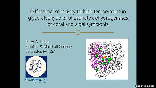 Differential sensitivity to high temperature in glyceraldehyde-3-phosphate dehydrogenases of coral and algal symbionts