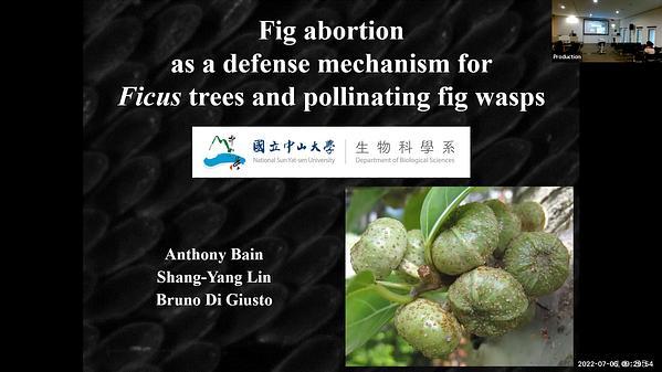 Fig abortion as a defense mechanism for Ficus trees and pollinating fig wasps