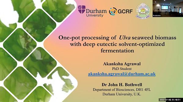 One-pot processing of Ulva seaweed biomass with deep eutectic solvent-optimized fermentation