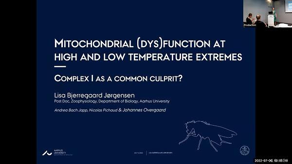 Mitochondrial (dys)function at high and low temperature extremes – complex I as a common culprit?