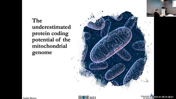 The underestimated protein coding potential of the mitochondrial genome