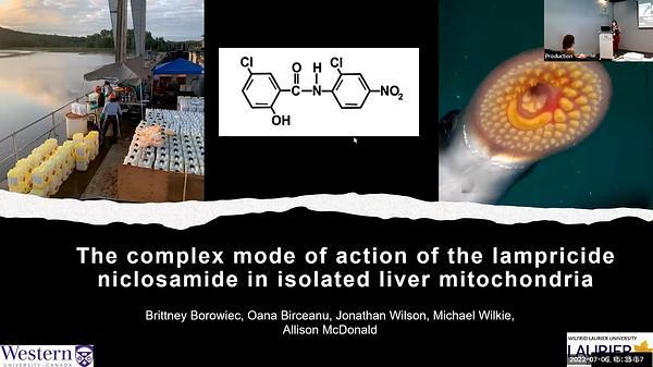 The complex mode of action of the lampricide niclosamide in isolated liver mitochondria