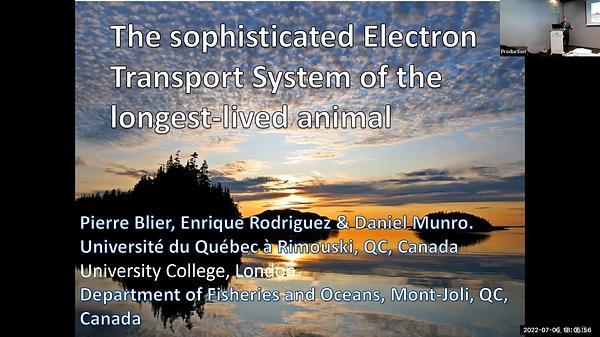 The sophisticated Electron Transport System of the longest-lived animal