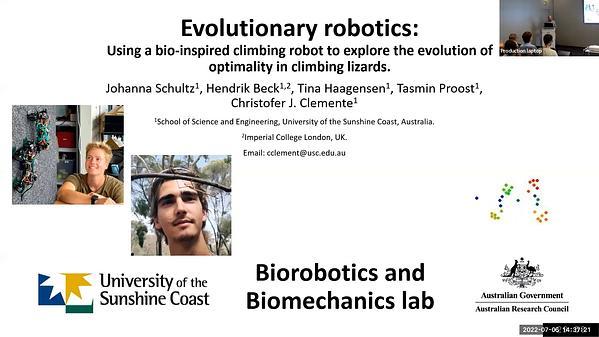 Using a biologically mimicking climbing robot to explore the performance landscape of climbing in lizards