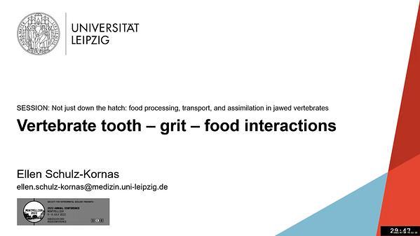 Vertebrate tooth-grit-food interactions