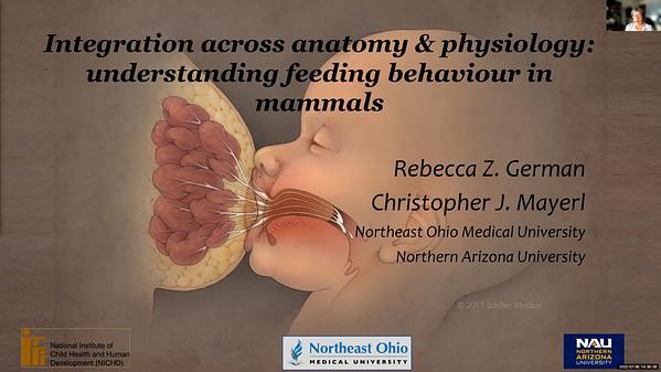 Integration across anatomy and physiology is the basis for understanding feeding behaviour in vertebrates