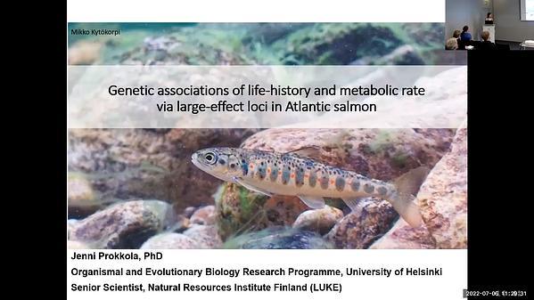 Insights to genetic associations of life-history and metabolic rate via large-effect loci in Atlantic salmon