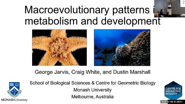 Macroevolutionary patterns in metabolism and development