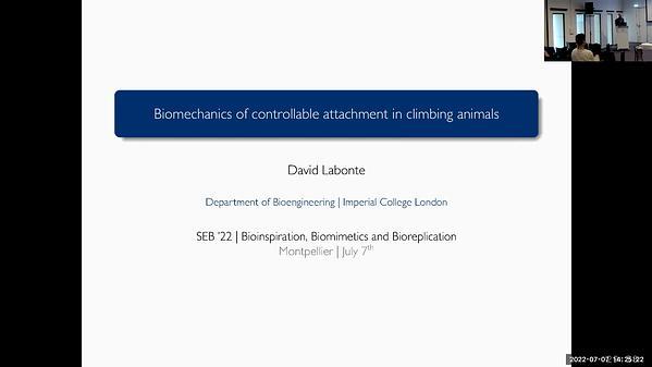 Biomechanics of controllable attachment in climbing animals