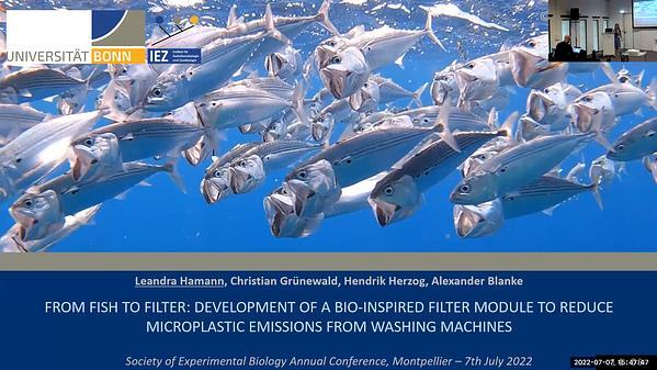 From fish to filter: development of a bio-inspired filter module to reduce microplastic emissions from washing machines