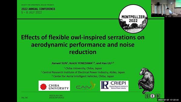 Effects of flexible owl-inspired serrations on aerodynamic performance and noise reduction