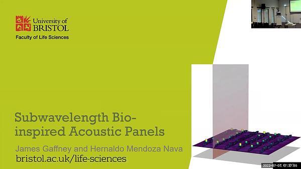 Subwavelength Bioinspired Acoustic Panels