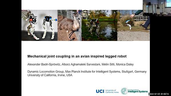 Mechanical joint coupling in an avian inspired legged robot