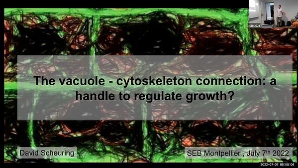 The vacuole - cytoskeleton connection: a handle to regulate growth