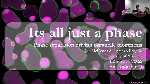 Its all just a phase: Phase separation driving organelle biogenesis.