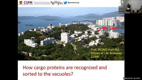 How cargo proteins are recognized and sorted to the vacuoles?