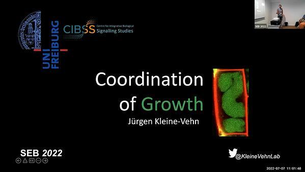 Coordination of growth in plants