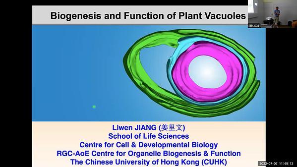 Whole-cell Electron Tomography Analysis of Vacuoles in Plant Cells