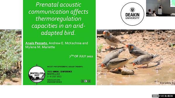 Prenatal acoustic communication affects thermoregulation capacities in an arid-adapted bird.