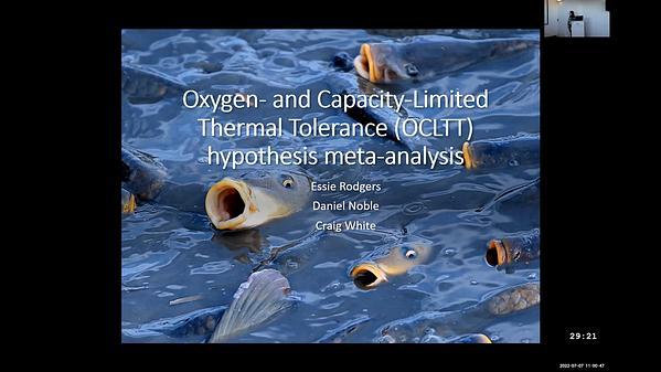 Using meta-analysis to resolve uncertainty around the oxygen- and capacity-limited thermal tolerance (OCLTT) hypothesis