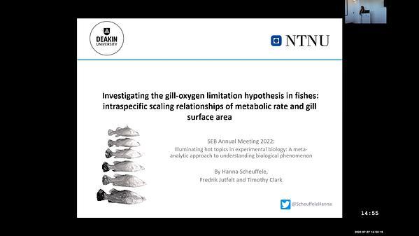 Investigating the gill-oxygen limitation hypothesis in fishes: intraspecific scaling relationships of metabolic rate and gill surface area