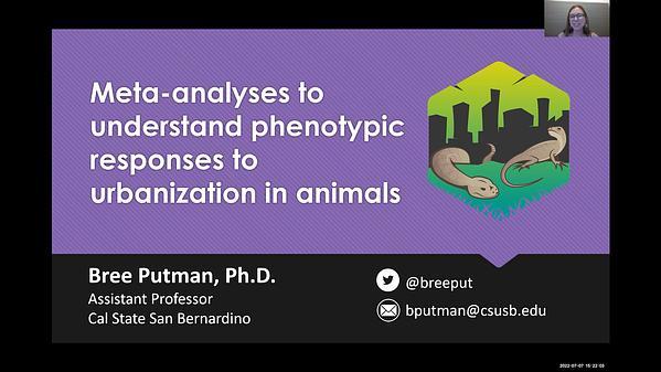 Using meta-analyses to understand phenotypic responses to urbanization in animals