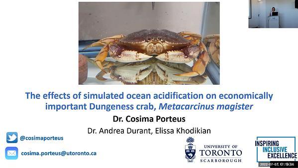 The effects of simulated ocean acidification on the behaviour and physiology of the economically important Dungeness crab, Metacarcinus magister