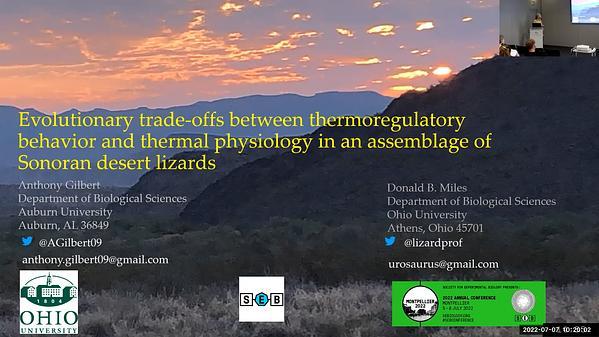 Evolutionary trade-offs between thermoregulatory behavior and thermal physiology in an assemblage of Sonoran desert lizards