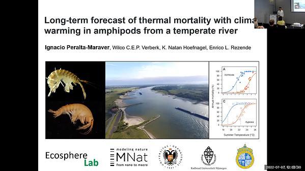 Long-term forecast of thermal mortality with climate warming in amphipods from a temperate river