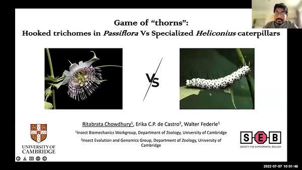 Game of thorns: How hooked trichomes protect plants from herbivory and how specialised