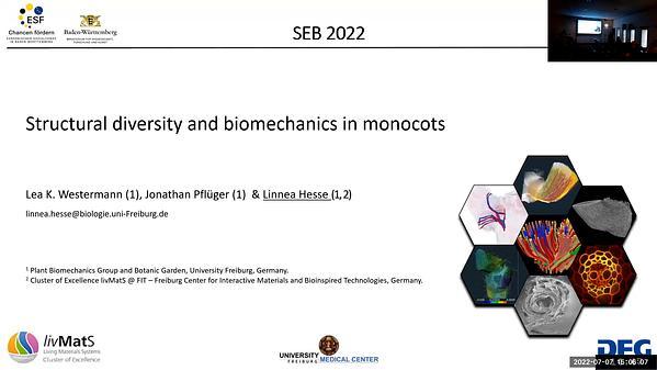 Structural diversity and biomechanics in monocots