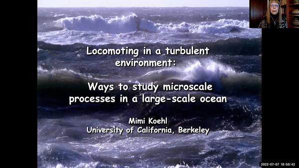 Locomoting in a turbulent environment: Ways to study microscale processes in a large-scale ocean