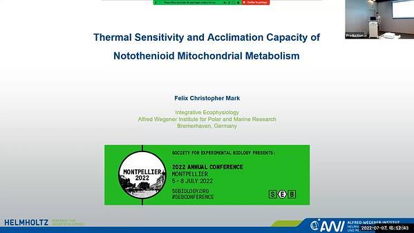 Acclimation capacity and thermal sensitivity of notothenioid energy metabolism