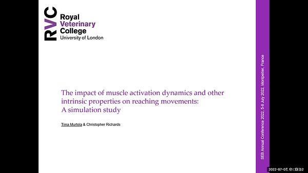 The impact of muscle activation dynamics and other intrinsic properties on reaching movements: A simulation study