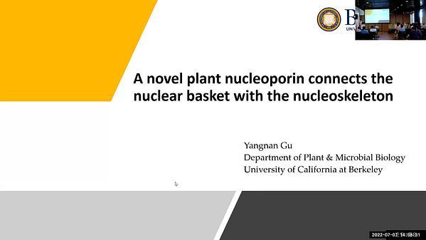 GBPL3 is a novel plant nucleoporin that recruits RNA processing and transcription machinery at the nuclear basket by promoting condensates formation