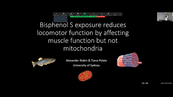 Bisphenol S Exposure reduces locomotor function by affecting muscle function but not mitochondria