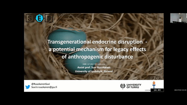 Transgenerational endocrine disruption - a potential mechanism for legacy effects of anthropogenic disturbance