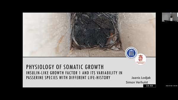 Physiology of somatic growth: insulin-like growth factor 1 and its variability in passerine species with different life-history