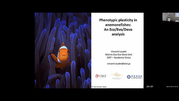 Phenotypic plasticity in anemonefishes: An Eco/Evo/Devo analysis