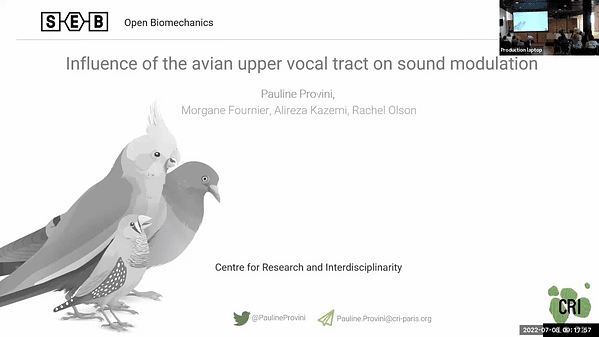 Influence of the avian upper vocal tract on sound modulation