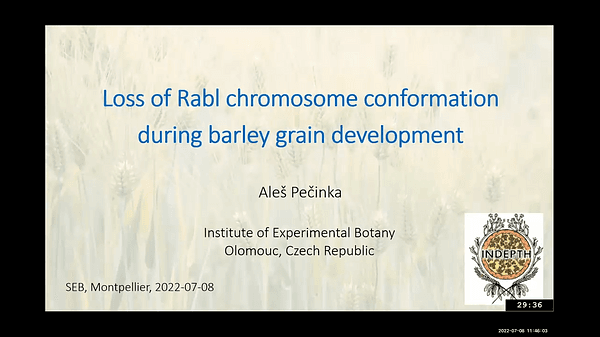 The dynamics of chromatin changes during barley seed development
