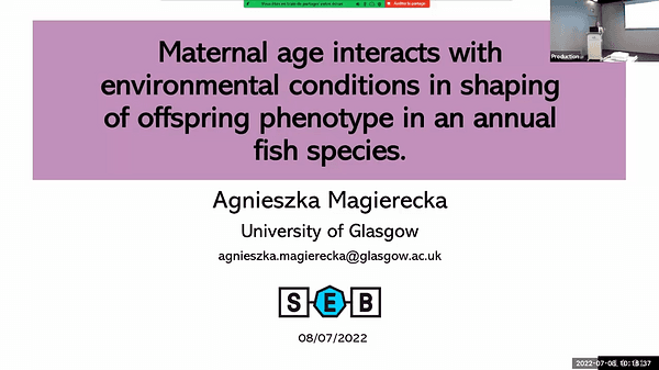 Maternal age interacts with environmental conditions in shaping of offspring phenotype in an annual fish species.
